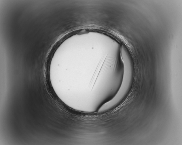 X0000095961264200802081310