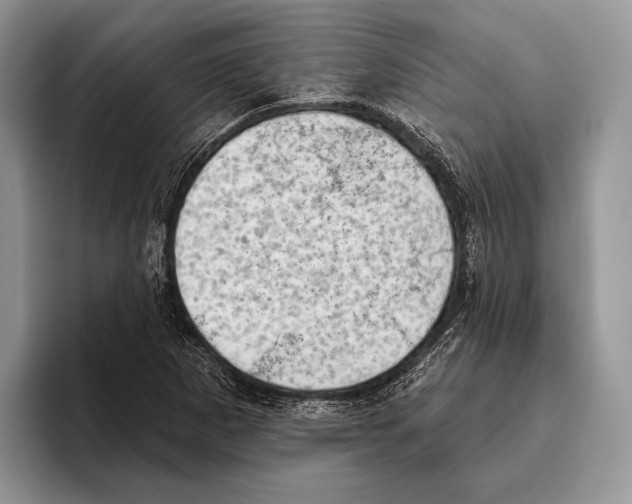 X0000095961265200802081310