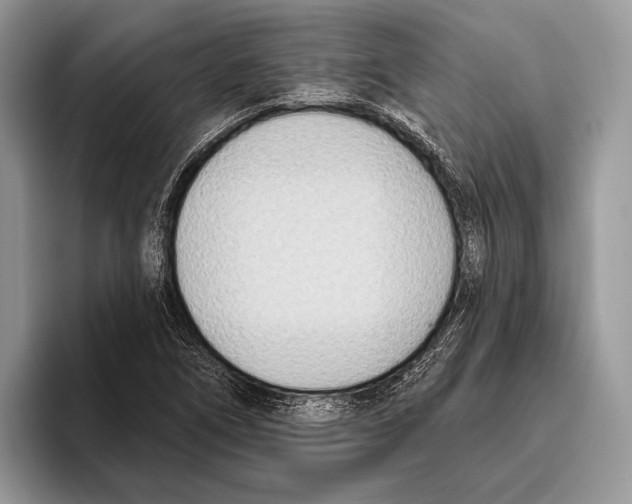 X0000095961266200802081310