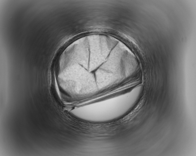 X0000095961267200802081310