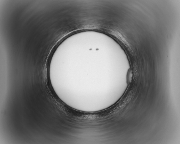 X0000095961268200802081310