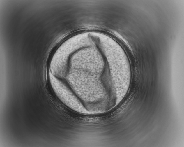 X0000095961269200802081310