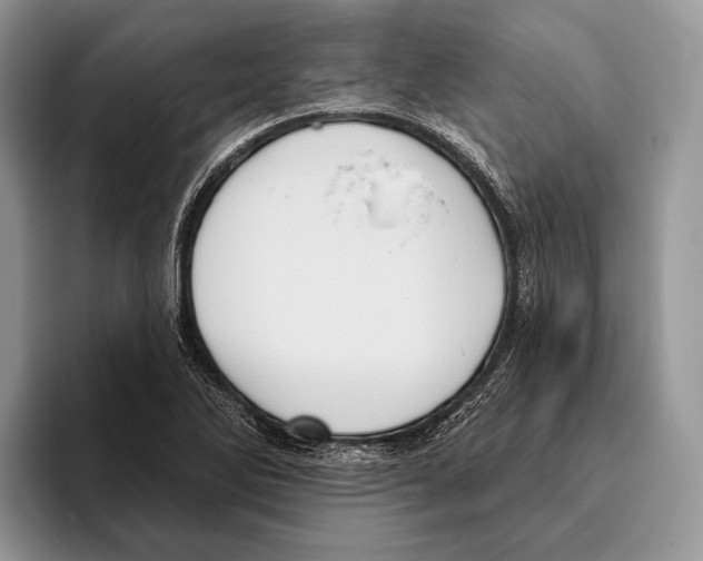 X0000095961270200802081310