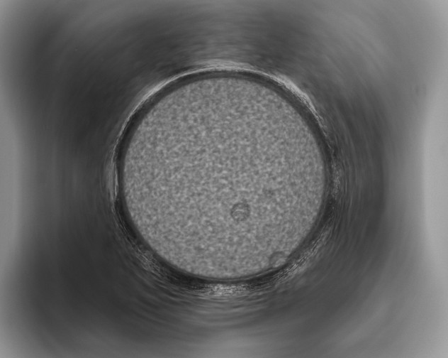 X0000095961271200802081310