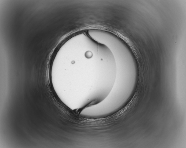 X0000095961272200802081310