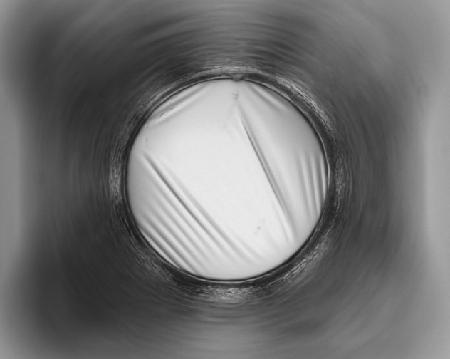 X0000095961273200802081310