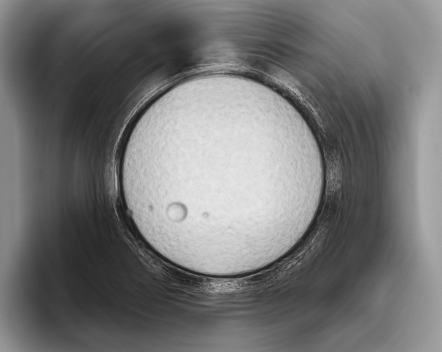 X0000095961274200802081310