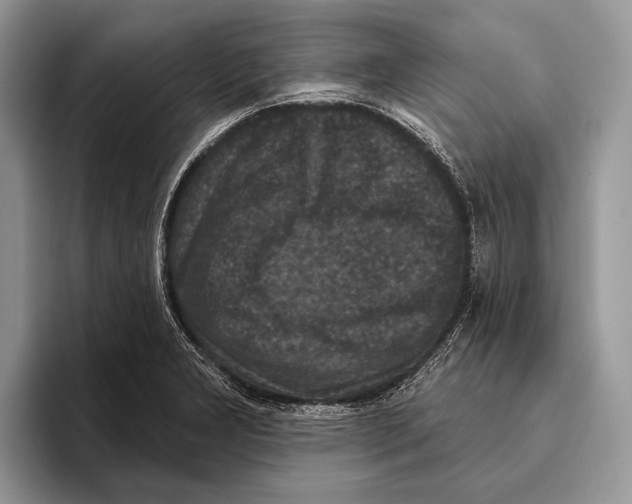 X0000095961277200802081310