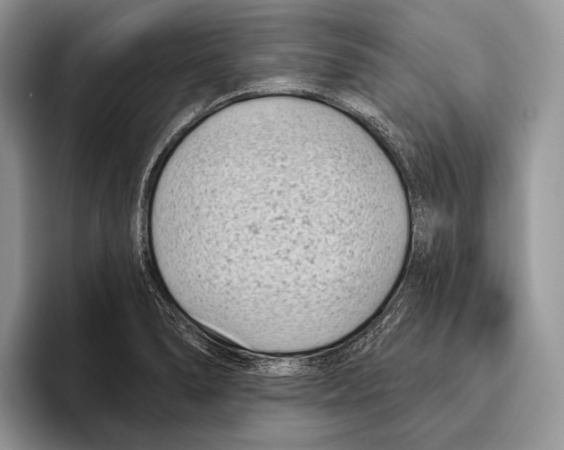 X0000095961278200802081310