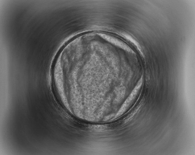 X0000095961280200802081310