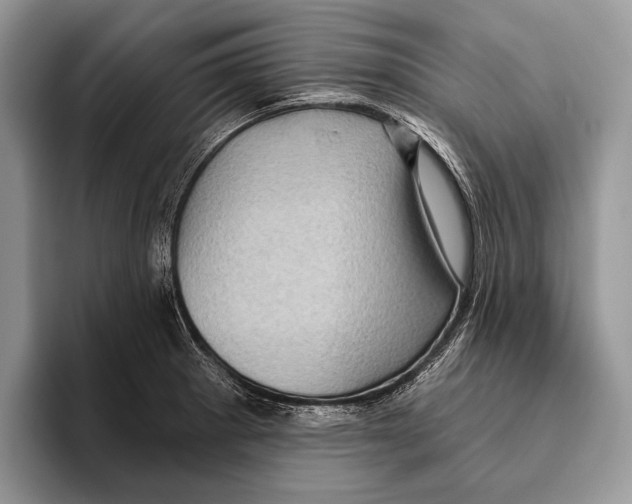 X0000095961281200802081310