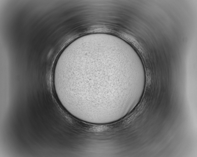 X0000095961282200802081310