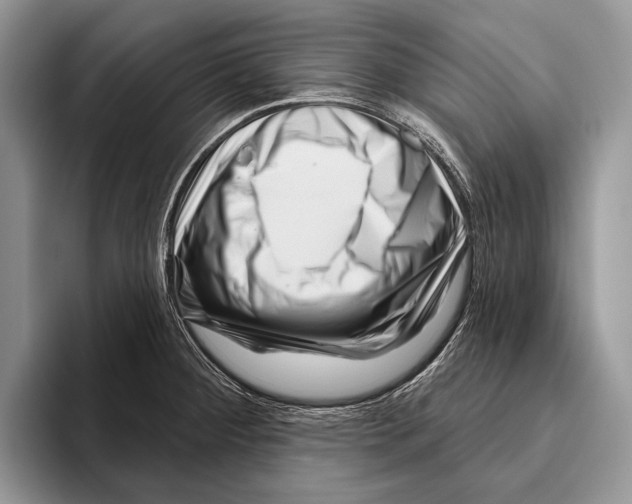 X0000095961284200802081310