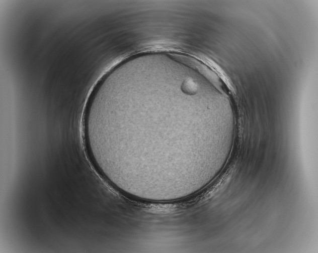 X0000095961285200802081310