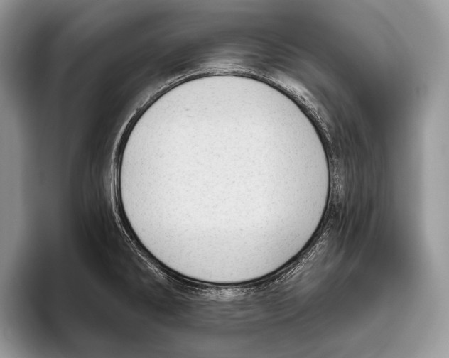 X0000095961286200802081310