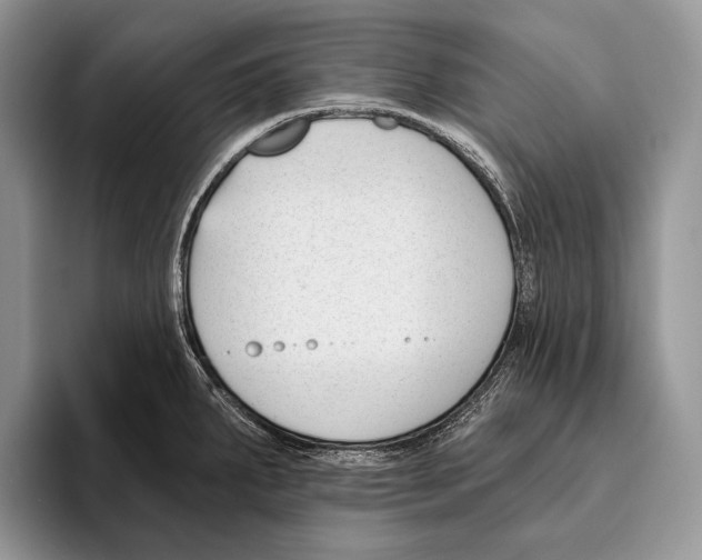 X0000095961287200802081310