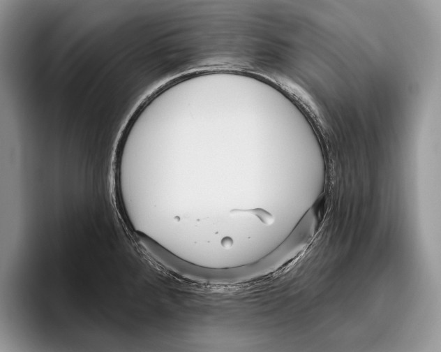 X0000095961288200802081310