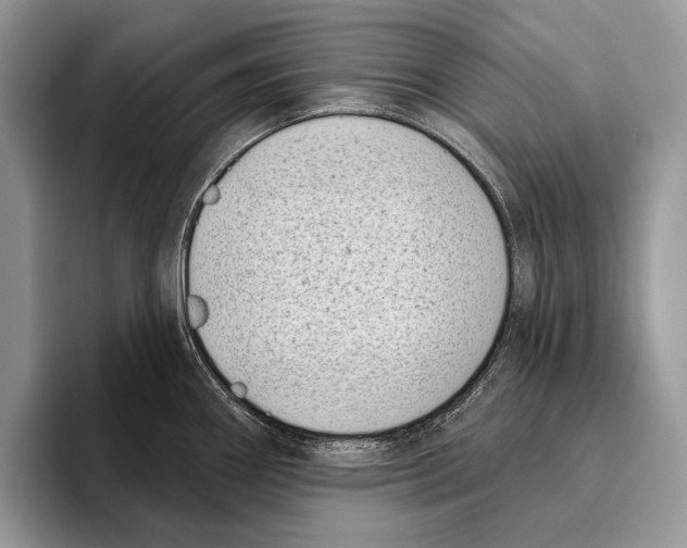 X0000095961290200802081310