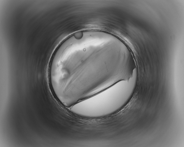 X0000095961291200802081310