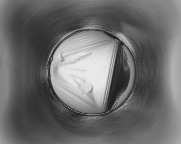 X0000095961292200802081310