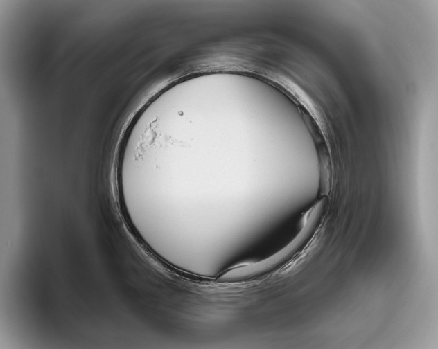 X0000095961293200802081310