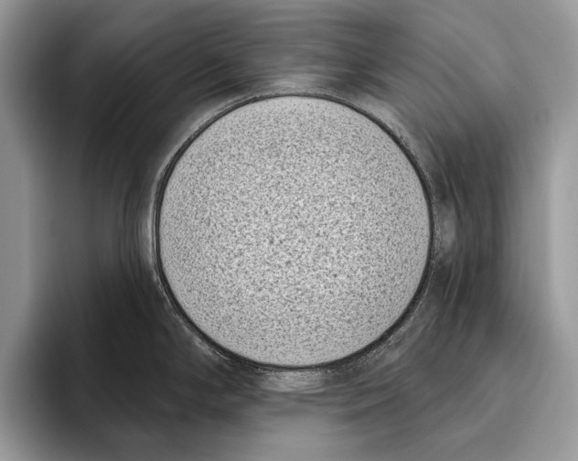 X0000095961294200802081310