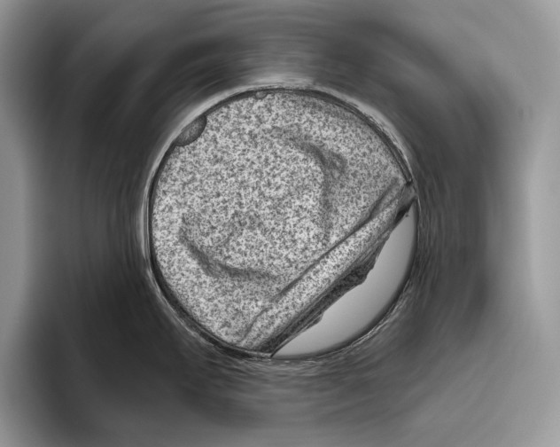 X0000095961295200802081310