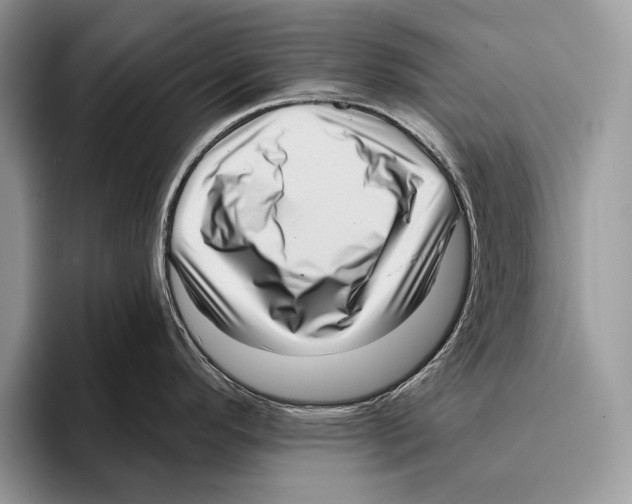 X0000095961296200802081310