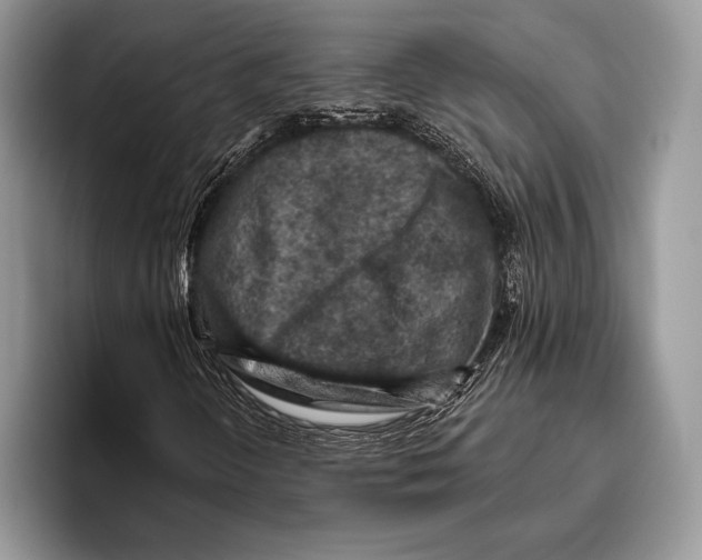 X0000095961298200802081309