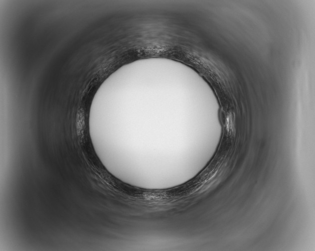 X0000095961299200802081309