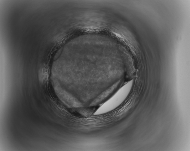 X0000095961300200802081309