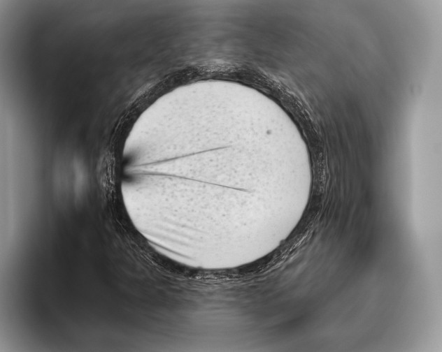 X0000095961301200802081309