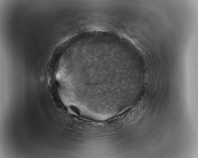 X0000095961303200802081309