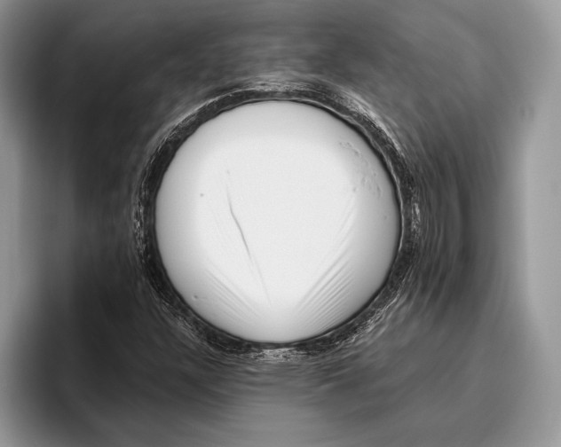 X0000095961304200802081309