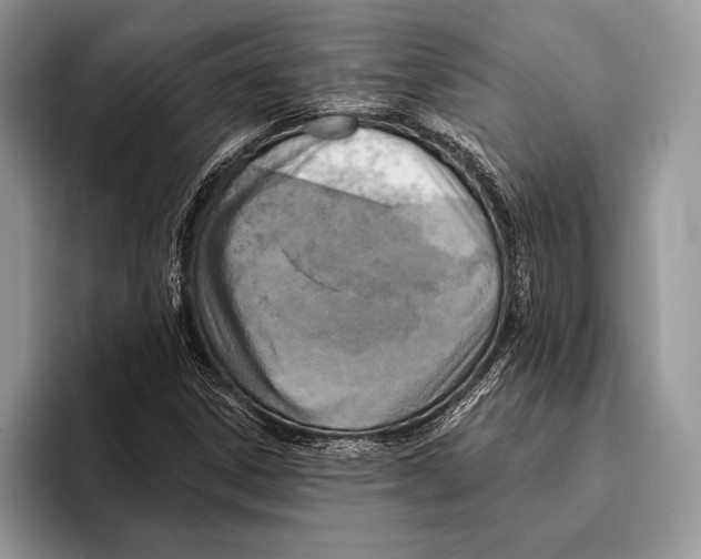 X0000095961306200802081309