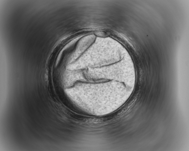 X0000095961307200802081309