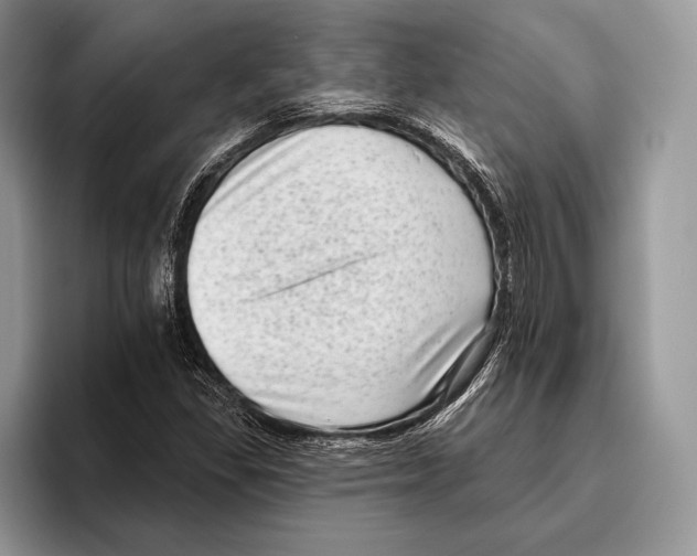 X0000095961309200802081309