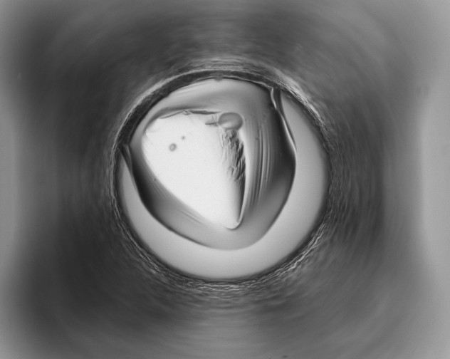 X0000095961312200802081309