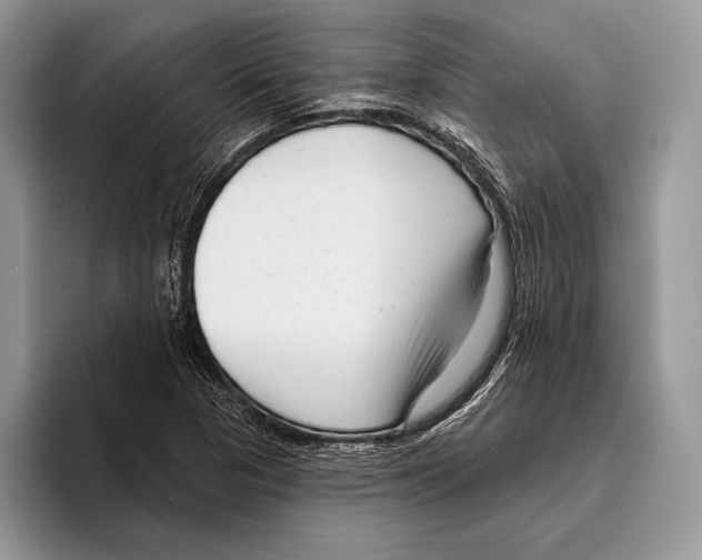 X0000095961313200802081309