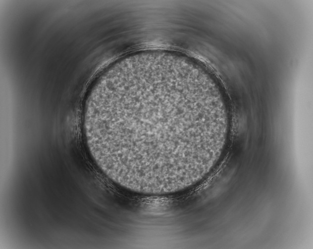 X0000095961314200802081309