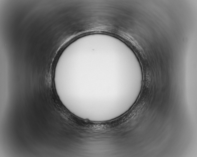 X0000095961316200802081309