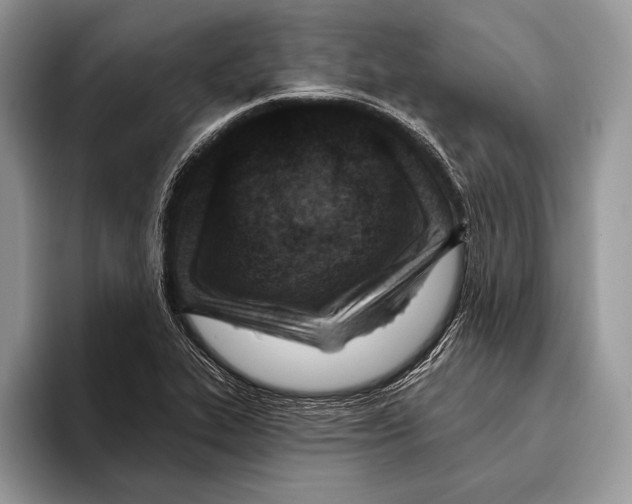 X0000095961319200802081309