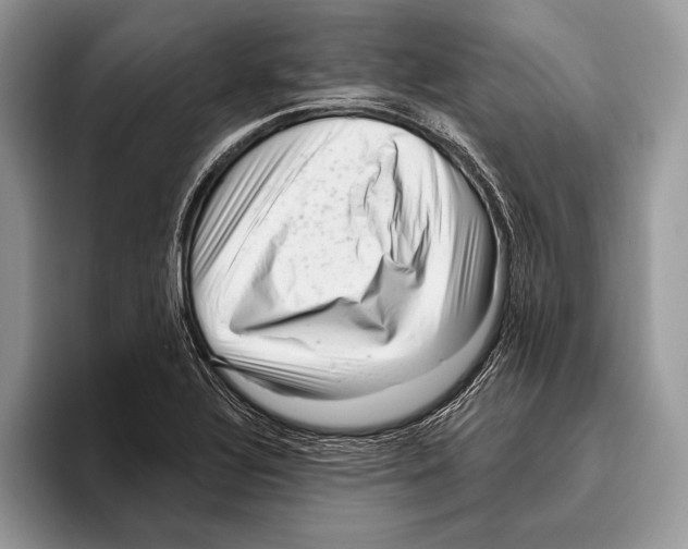 X0000095961320200802081309