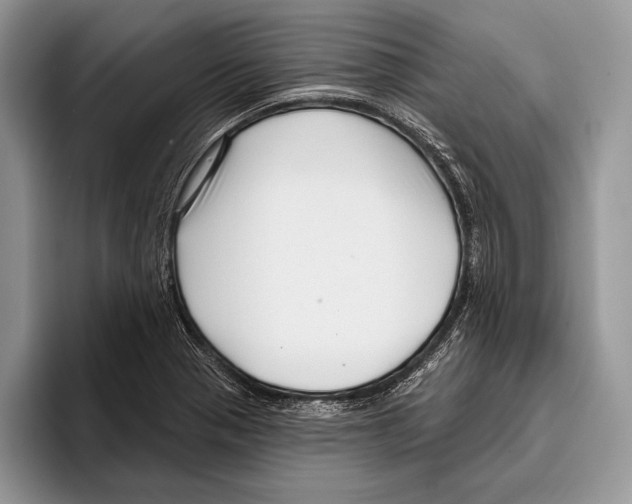 X0000095961321200802081309