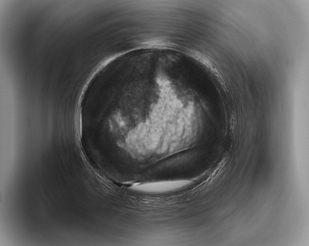 X0000095961323200802081309