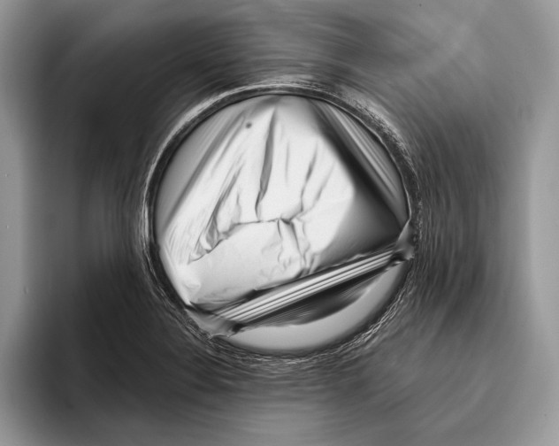 X0000095961324200802081309