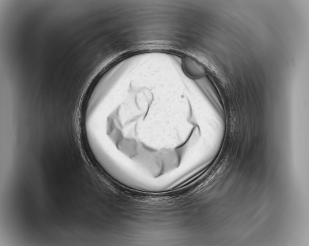 X0000095961325200802081309