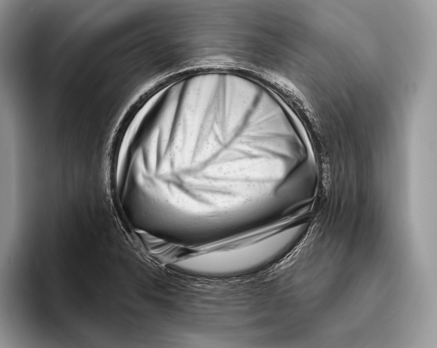 X0000095961326200802081309