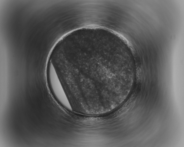 X0000095961327200802081309