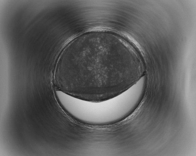 X0000095961329200802081309